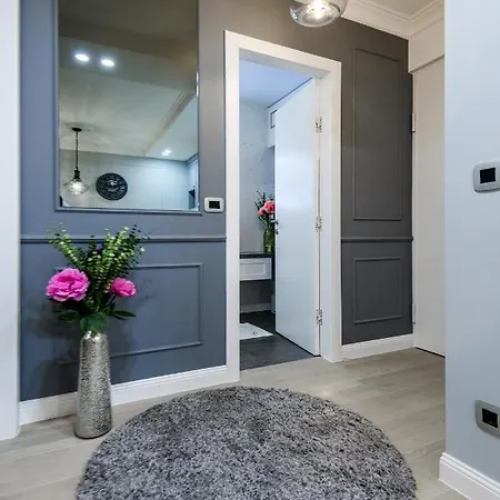 Divine Luxury Purple * Zadar