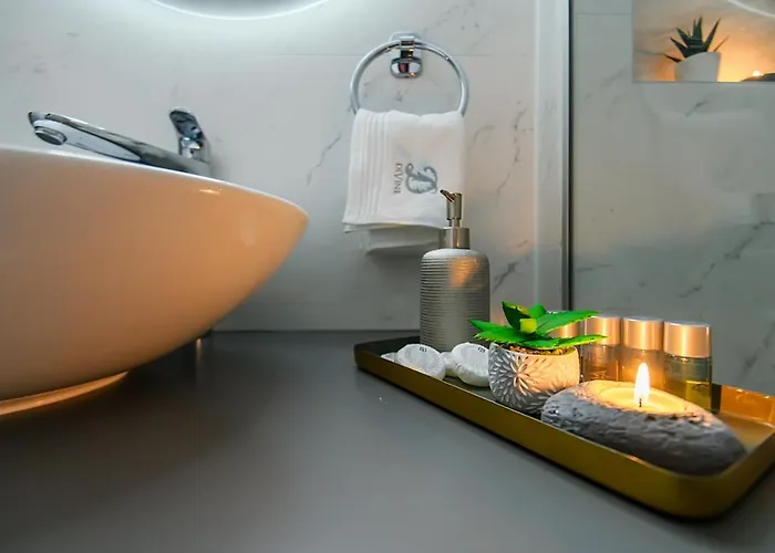 公寓 Divine Luxury Purple 扎达尔