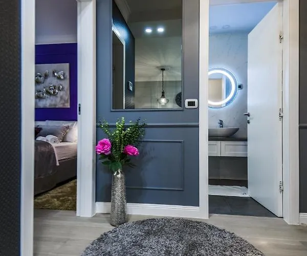 Divine Luxury Purple 公寓 扎达尔