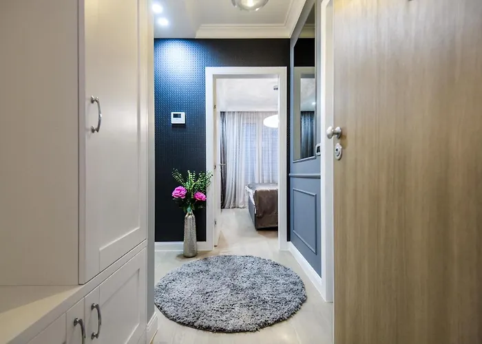 Divine Luxury Purple דירה זאדאר